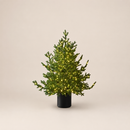 EDG Enzo De Gasperi | Albero di Natale H 90 cm. Pino Lucciole 400 Led
