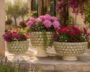 EDG Enzo De Gasperi | Vaso Fenice Pigna con Piede in Ceramica Waterproof