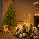 EDG Enzo De Gasperi | Albero di Natale Pino Lucciole con 4200 LED H 240 cm