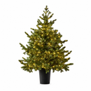 EDG Enzo De Gasperi | Albero di Natale Pino argentato con vaso H 120 cm con 480 LED
