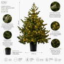 EDG Enzo De Gasperi | Albero di Natale Pino argentato con vaso H 120 cm con 480 LED