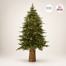 EDG Enzo De Gasperi | Albero di Natale Pino Spark - 6670 Led H 210 cm