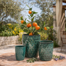 EDG Enzo De Gasperi Arancio con Ramo e Foglie H 95 cm