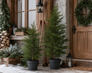 EDG Enzo De Gasperi | Albero di Natale con vaso PinoThuja