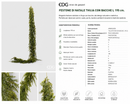 EDG Enzo De Gasperi | Festone di Natale Thuja con bacche L 195 cm.