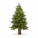 EDG Enzo De Gasperi | Albero di Natale Pino Luxury con 3000 Led H 180 cm