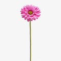 EDG Enzo De Gasperi | Ramo Gerbera Artificiale H 60 cm – 6 Colori