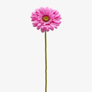 EDG Enzo De Gasperi | Ramo Gerbera Artificiale H 60 cm – 6 Colori