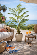 EDG Enzo De Gasperi | Pianta artificiale Palma Areca Vogue H 250 cm.