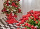 EDG Enzo De Gasperi | Base Pino Fiocco per Albero di Natale