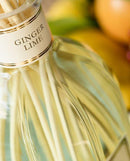 Diffusore Ambiente Ginger Lime Dr. Vranjes Firenze