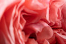 Diffusore ambiente Rosa Tabacco Dr. Vranjes Firenze