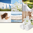 Yankee Candle | Set 2 Ricariche Profumate per ScentPlug®