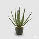 Pianta Artificiale Aloe Chic EDG Enzo De Gasperi