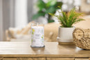Candela Profumata Midnight Jasmine Yankee Candle