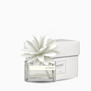 Muhà | Profumatore Ambiente Flower 30 ml con Fiore in Legno – 12 Fragranze