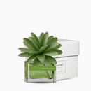 Muhà | Profumatore Ambiente Flower 30 ml con Fiore in Legno – 12 Fragranze