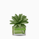 Muhà | Profumatore Ambiente Flower 30 ml con Fiore in Legno – 12 Fragranze