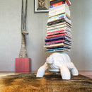 Libreria in polietilene Turtle Carry bianca QEEBOO