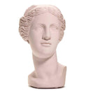 Sophia Enjoy Thinking | Venus Head Vaso Pow Pink