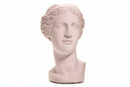 Sophia Enjoy Thinking | Venus Head Vaso Pow Pink