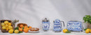 Spremiagrumi  Blu Mediterraneo Dolce & Gabbana SMEG