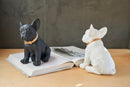 Statua in poliresina mini Collezione Bulldog RUGGIERO By Blogo Lifestyle