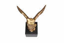 Sophia Enjoy Thinking | Scultura Nike L Gold & Black