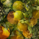 Diffusore Ambiente Chinotto Pepe Dr. Vranjes Firenze