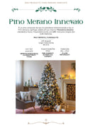 EDG Enzo De Gasperi | Albero di Natale Pino Merano innevato H 180 cm