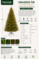 Kaemingk | Albero di Natale Grandis Fir con 4200 LED - H. 210 cm Luce Bianca Calda