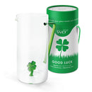 WD Lifestyle | Caraffa in Vetro Borosilicato con Decoro