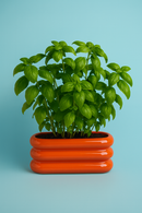 WD Lifestyle | Vaso in terracotta laccato