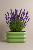 WD Lifestyle | Vaso in terracotta laccato