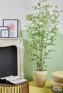 Pianta Artificiale con vaso Bamboo H 185 cm. EDG Enzo De Gasperi