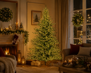 Kaemingk | Albero di Natale Grandis Fir con 2500 LED - H. 180 cm Luce Bianca Calda