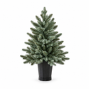 EDG Enzo De Gasperi | Albero di Natale Pino argentato con vaso