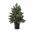 EDG Enzo De Gasperi | Albero di Natale Pino argentato con vaso