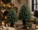 EDG Enzo De Gasperi | Albero di Natale Pino argentato con vaso
