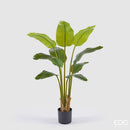 EDG Enzo De Gasperi | Pianta Artificiale con vaso Banano