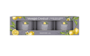 Yankee Candle Confezione  3 Candele Votive in Vetro  Black Tea & Lemon