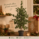 EDG Enzo De Gasperi | Albero di Natale con vaso Pino Cedro
