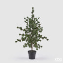 EDG Enzo De Gasperi | Albero di Natale con vaso Pino Cedro
