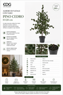 EDG Enzo De Gasperi | Albero di Natale con vaso Pino Cedro