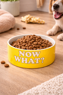 Blogo | Ciotola per Cani Snoopy in Porcellana