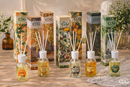 EDG Enzo De Gasperi| Profumatore Ambiente con Bastoncini 100 ml