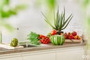 Pianta Artificiale Aloe Chic EDG Enzo De Gasperi