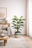 EDG Enzo De Gasperi | Palma Areca Chic