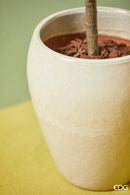 EDG Enzo De Gasperi | Vaso ceramica Glaze Bombato