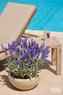 EDG Enzo De Gasperi | Vaso Ciotola Glaze Smaltato Waterproof